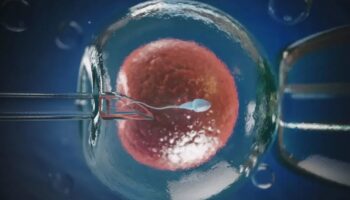 Эко в Ташкенте: как выбрать клинику