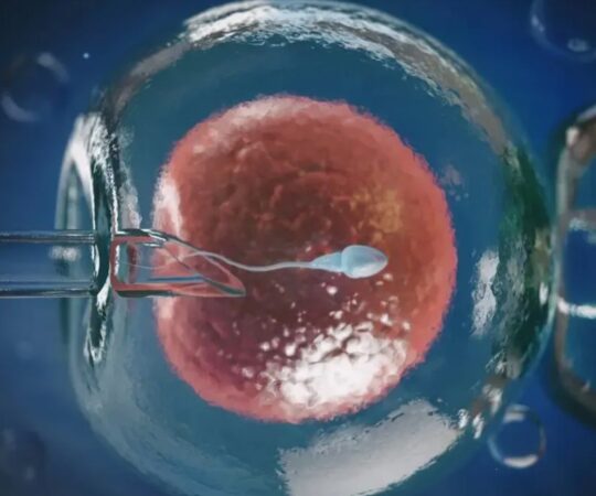 Эко в Ташкенте: как выбрать клинику