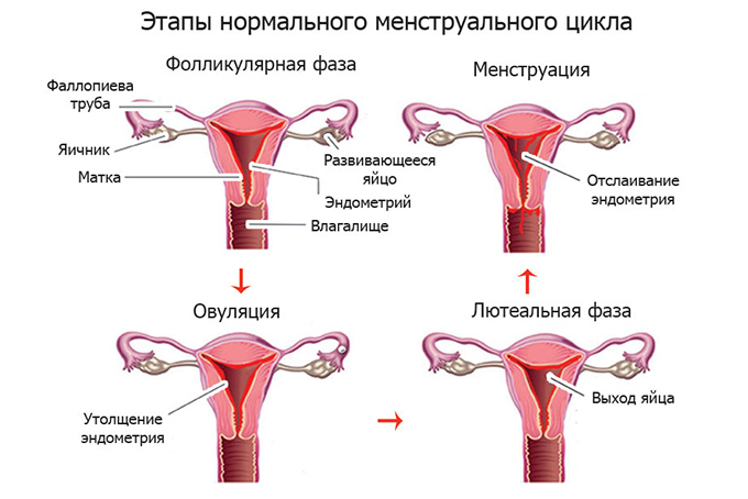 Узнайте о инновационных протоколах лечения аутоиммунного оофорита в Израильском медицинском центре в Ташкенте