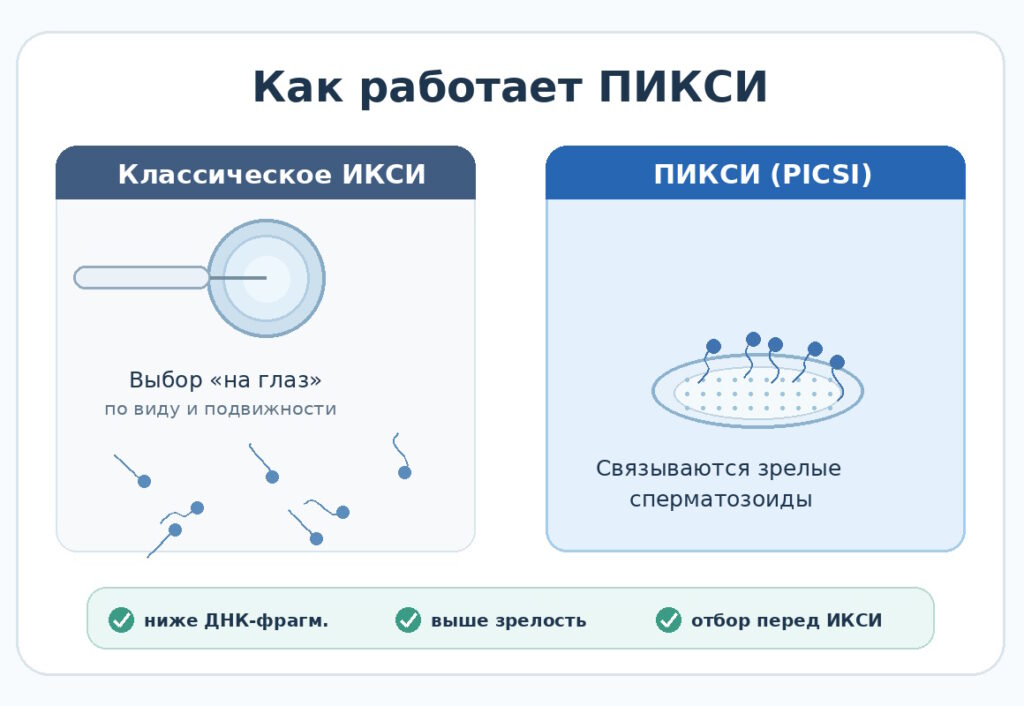 ПИКСИ (PICSI): когда показан метод гиалуроновой кислоты — Израильский медицинский центр в Ташкенте